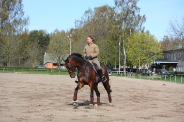 sarışın kadın binicilik defne at
