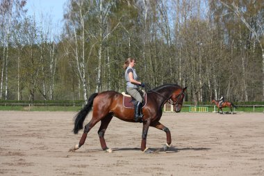 sarışın kadın binicilik defne at