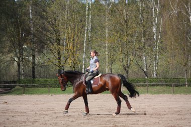 sarışın kadın binicilik defne at