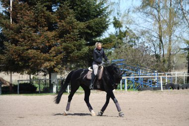sarışın kadın binicilik siyah at