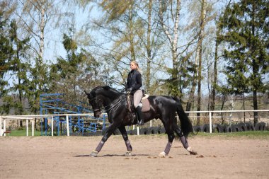 sarışın kadın binicilik siyah at