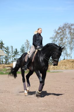 sarışın kadın binicilik siyah at
