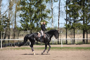 sarışın kadın binicilik siyah at