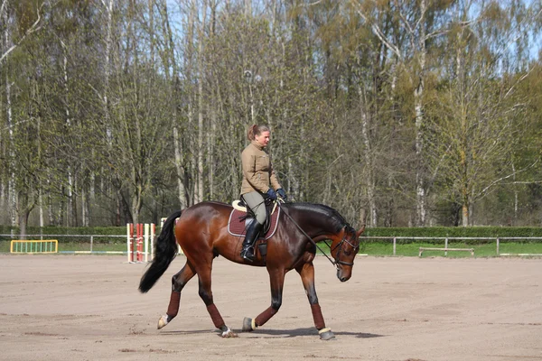 Junge Frau trabt auf dem Pferd — Stockfoto