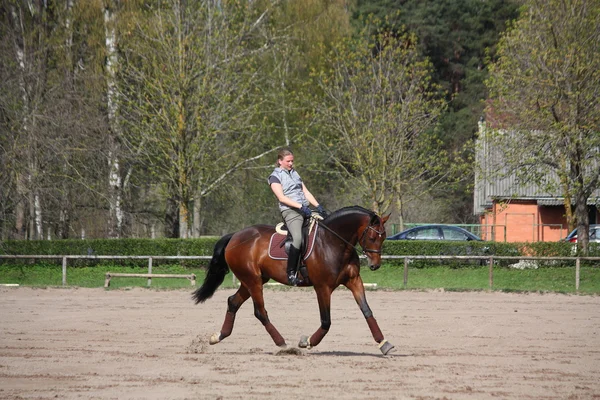 Junge Frau trabt auf dem Pferd — Stockfoto