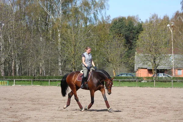 Joven mujer trotando en el caballo — Foto de Stock