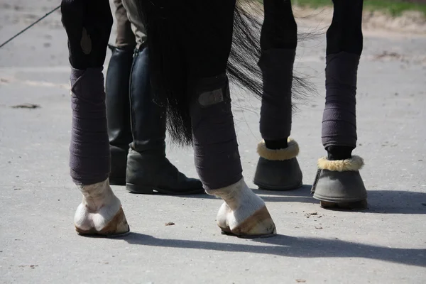 Patas de caballo negras y patas de jinete — Foto de Stock