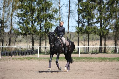 sarışın kadın binicilik siyah at