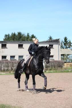sarışın kadın binicilik siyah at