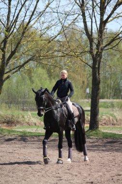 sarışın kadın binicilik siyah at