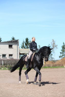 sarışın kadın binicilik siyah at