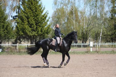 genç kadın binicilik siyah at