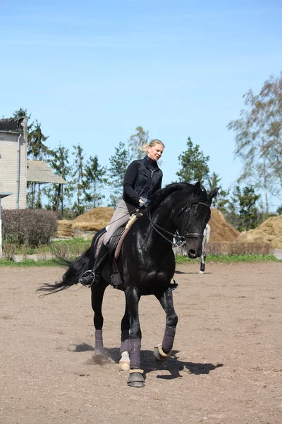 sarışın kadın binicilik siyah at