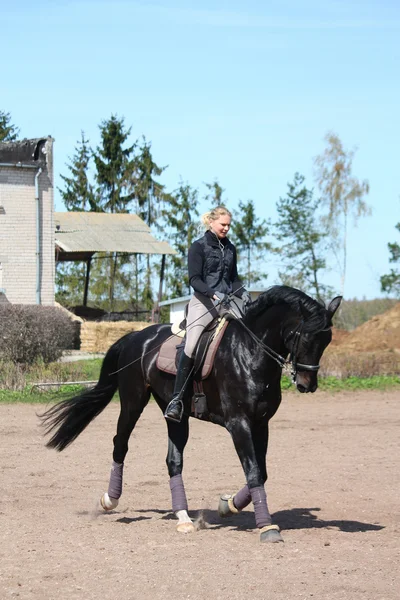 Блондинка верхом на черной лошади — стоковое фото