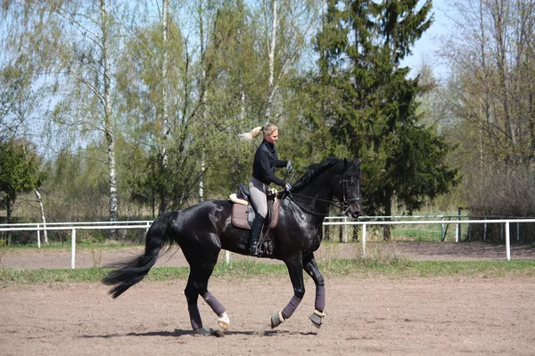 Jovem mulher montando cavalo preto — Fotografia de Stock