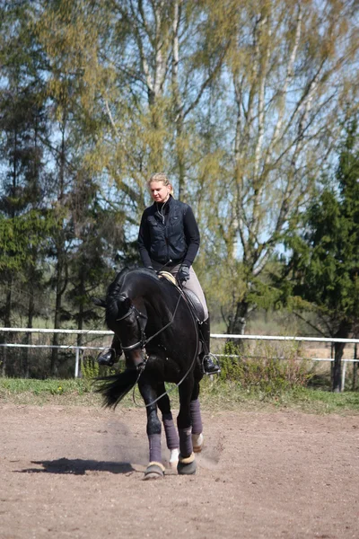 genç kadın binicilik siyah at
