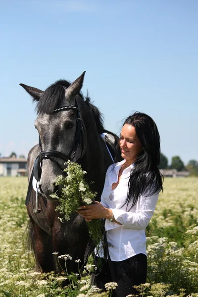 Bonito branco jovem mulher e cavalo retrato — Fotografia de Stock