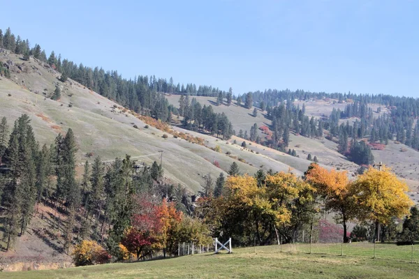 Podzimní barvy v horách — Stock fotografie