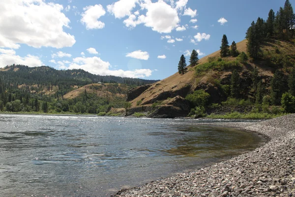 Küste am Clear Water River in Idaho lizenzfreie Stockfotos