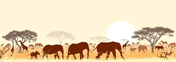 Silhouettes Wild Animals African Savanna Background Trees Sun — Stock Vector