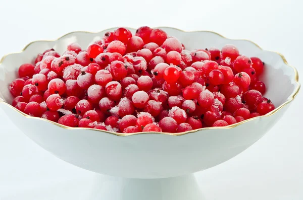 Frozen red currant in a vase. — Stock Photo, Image