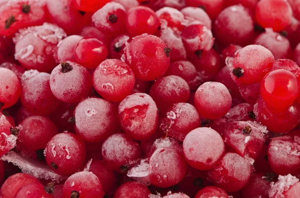 Bacche congelate ribes rosso — Foto Stock