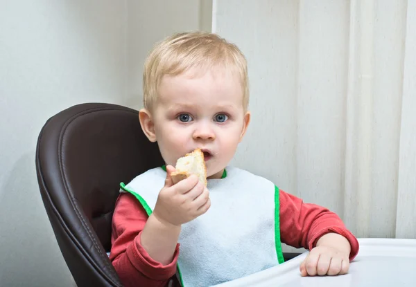 Das Baby isst Brot Stockbild