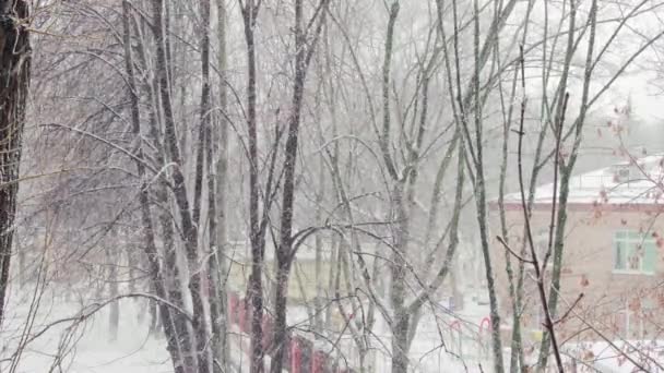 Silne opady śniegu z podmuchem wiatru wybuchły w mieście 1 — Wideo stockowe