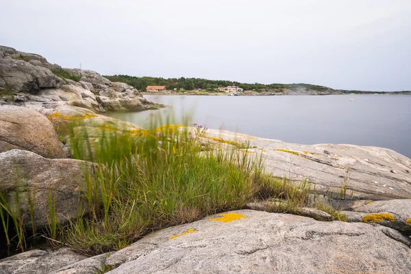 スウェーデンの海岸 ストック写真