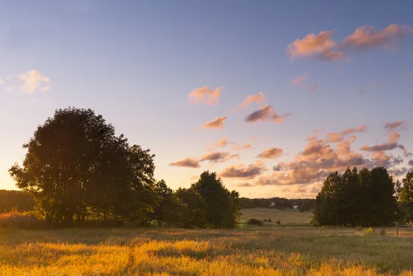 Pradera tranquila Imagen De Stock