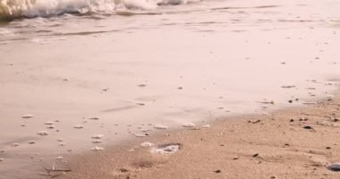 Deniz kıyısında yürüyen mayo giymiş güzel genç kadınlar.