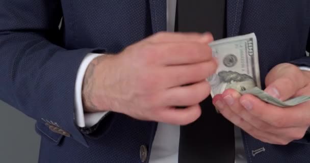 Επιχειρηματίας Μετρώντας Χρήματα Γκρι Φόντο — Αρχείο Βίντεο
