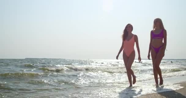 Belle Giovani Donne Costume Bagno Piedi Sulla Spiaggia Mare — Video Stock