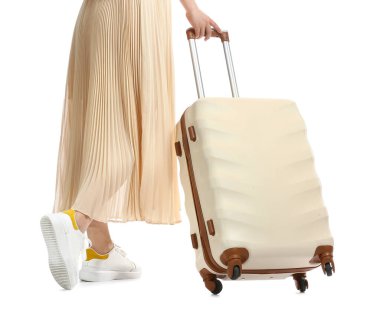 Bayan Çanta beyaz zemin üzerine