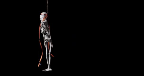 Skeleton Hanging Rope Black Background Halloween Celebration — Stock Video