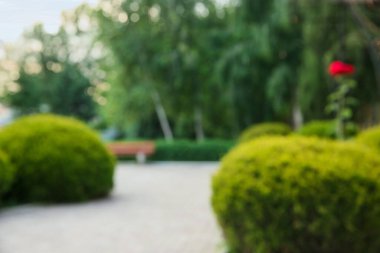 Güzel manzara tasarımının bulanık görüntüsü