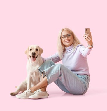 Tatlı Labrador köpeği olan olgun bir kadın pembe arka planda selfie çekiyor.