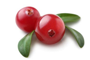 Beyaz arka planda olgun, sulu kızılcıklar