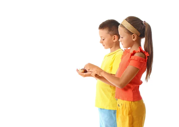 Lindos Niños Pequeños Con Caracoles Sobre Fondo Blanco —  Fotos de Stock