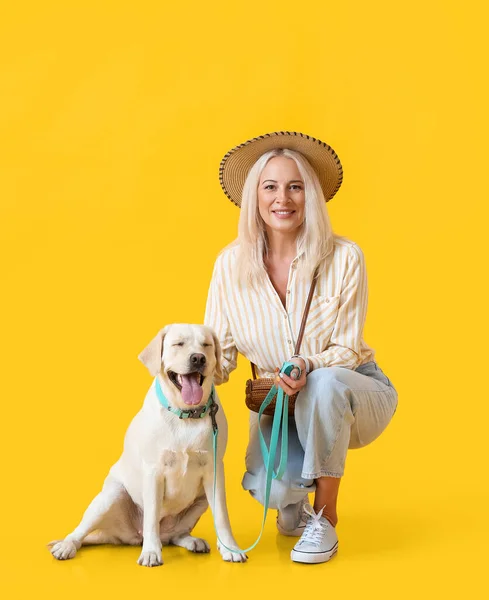 Стильная Зрелая Женщина Симпатичной Собакой Лабрадор Желтом Фоне — стоковое фото