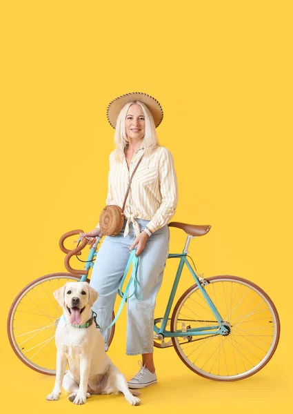 Volwassen Vrouw Met Schattig Labrador Hond Fiets Gele Achtergrond — Stockfoto