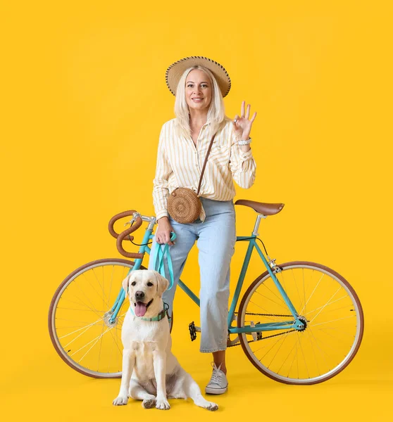 Зрелая Женщина Симпатичной Лабрадором Собака Велосипед Показывает Желтом Фоне — стоковое фото