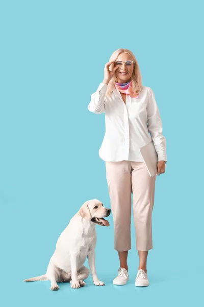 Mulher Madura Com Laptop Bonito Cão Labrador Fundo Azul — Fotografia de Stock