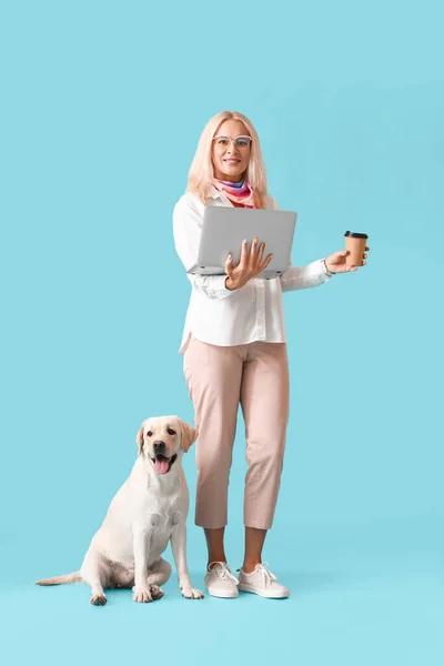 Starší Žena Notebookem Šálek Kávy Roztomilý Labradorský Pes Modrém Pozadí — Stock fotografie