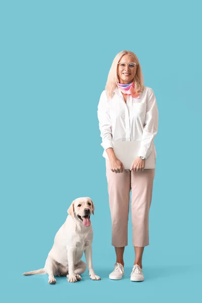 Ώριμη Γυναίκα Φορητό Υπολογιστή Και Χαριτωμένο Λαμπραντόρ Σκυλί Μπλε Φόντο — Φωτογραφία Αρχείου