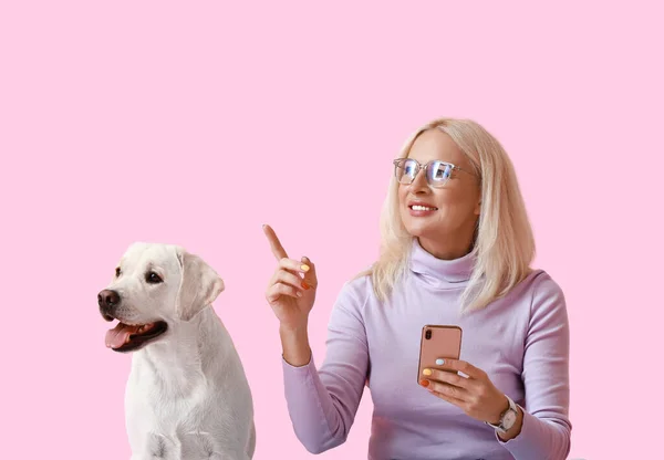 Зрелая Женщина Мобильным Телефоном Симпатичный Лабрадор Собака Указывает Розовом Фоне — стоковое фото
