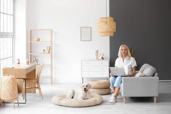 Donna Matura Con Laptop Simpatico Cane Labrador Casa — Foto Stock