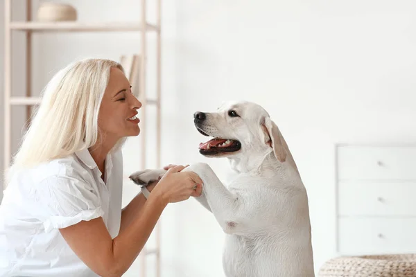 Evde Labrador Köpeği Tutan Olgun Bir Kadın — Stok fotoğraf