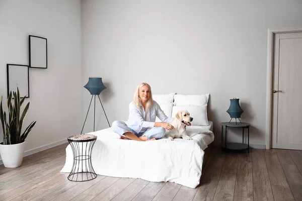 Mature Woman Cute Labrador Dog Sitting Bed Home — Stock Photo, Image