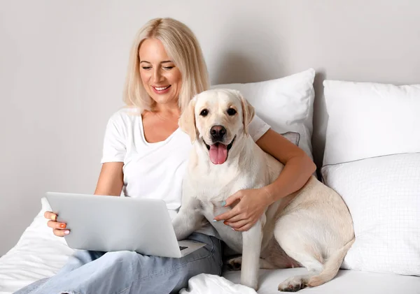 Mulher Madura Com Laptop Bonito Cão Labrador Cama — Fotografia de Stock